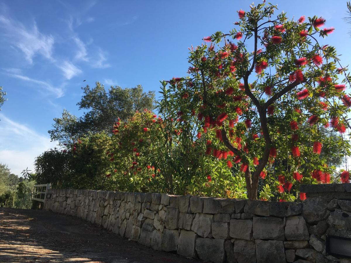 Villa Il Quieto Uliveto à Ostuni Extérieur photo
