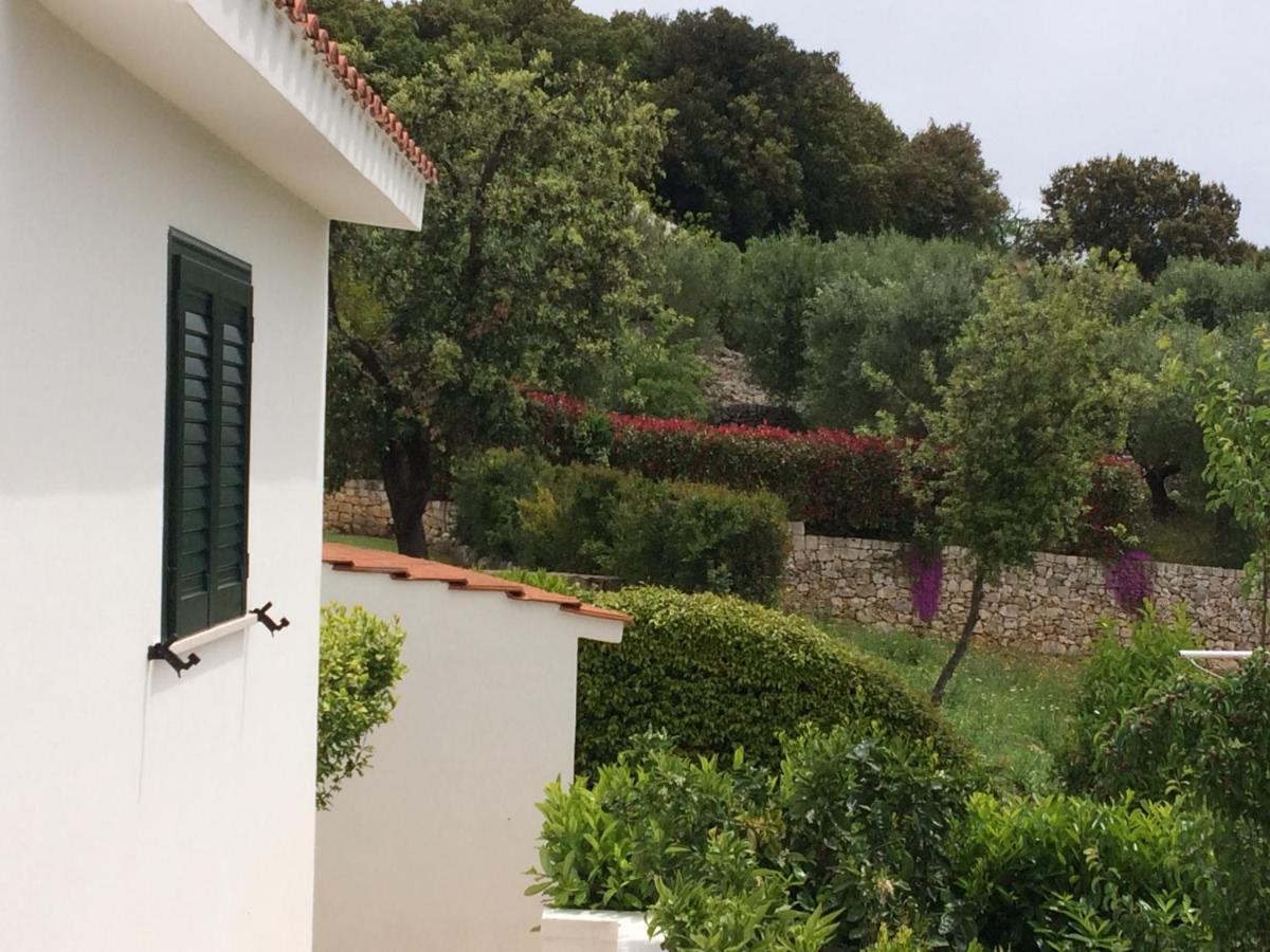 Villa Il Quieto Uliveto à Ostuni Extérieur photo