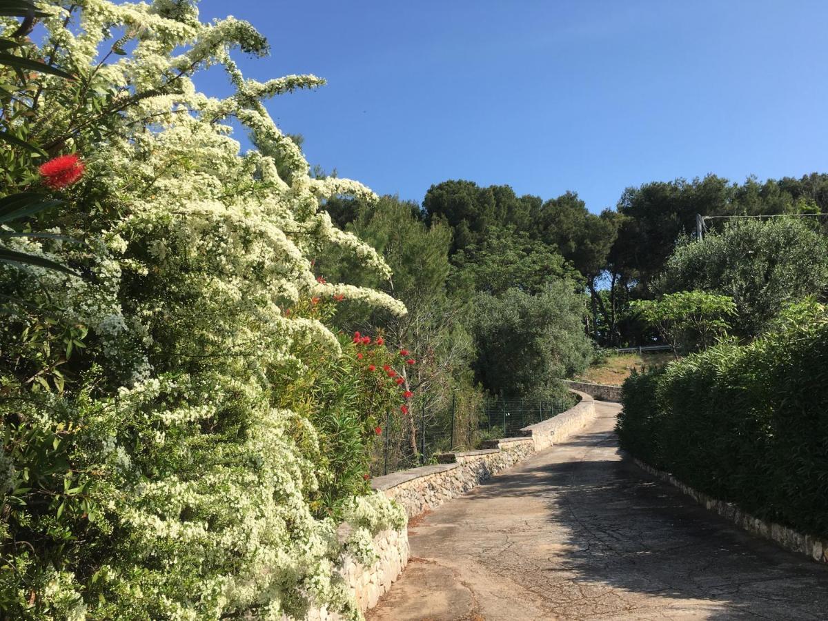 Villa Il Quieto Uliveto à Ostuni Extérieur photo