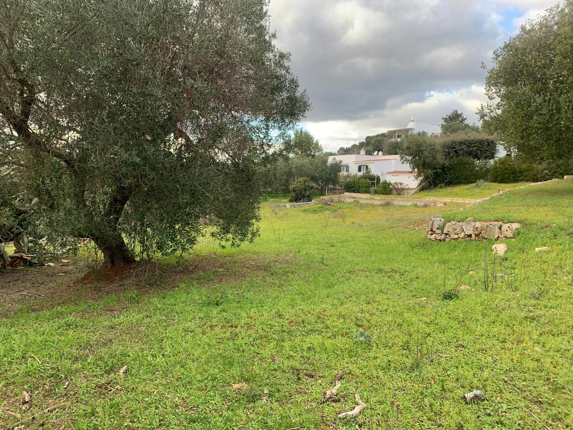 Villa Il Quieto Uliveto à Ostuni Extérieur photo